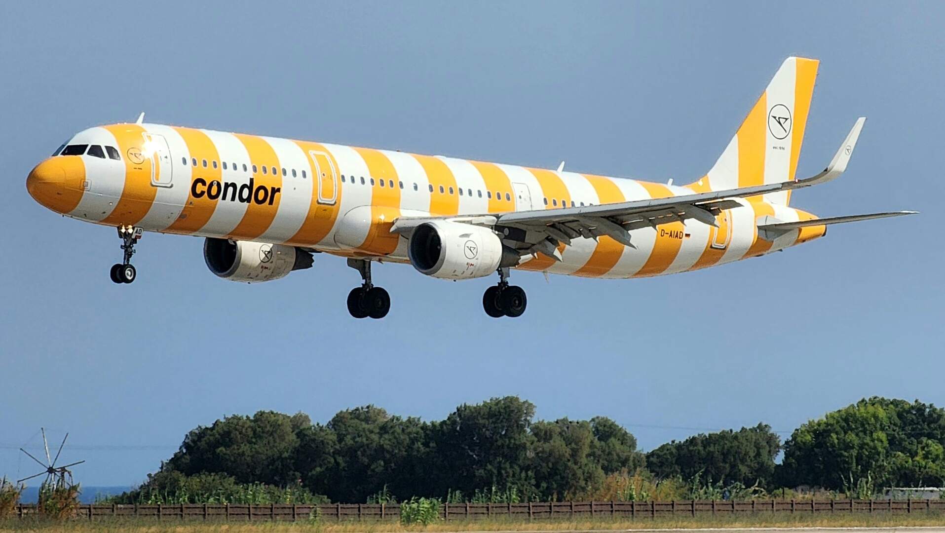 Condor Gelb